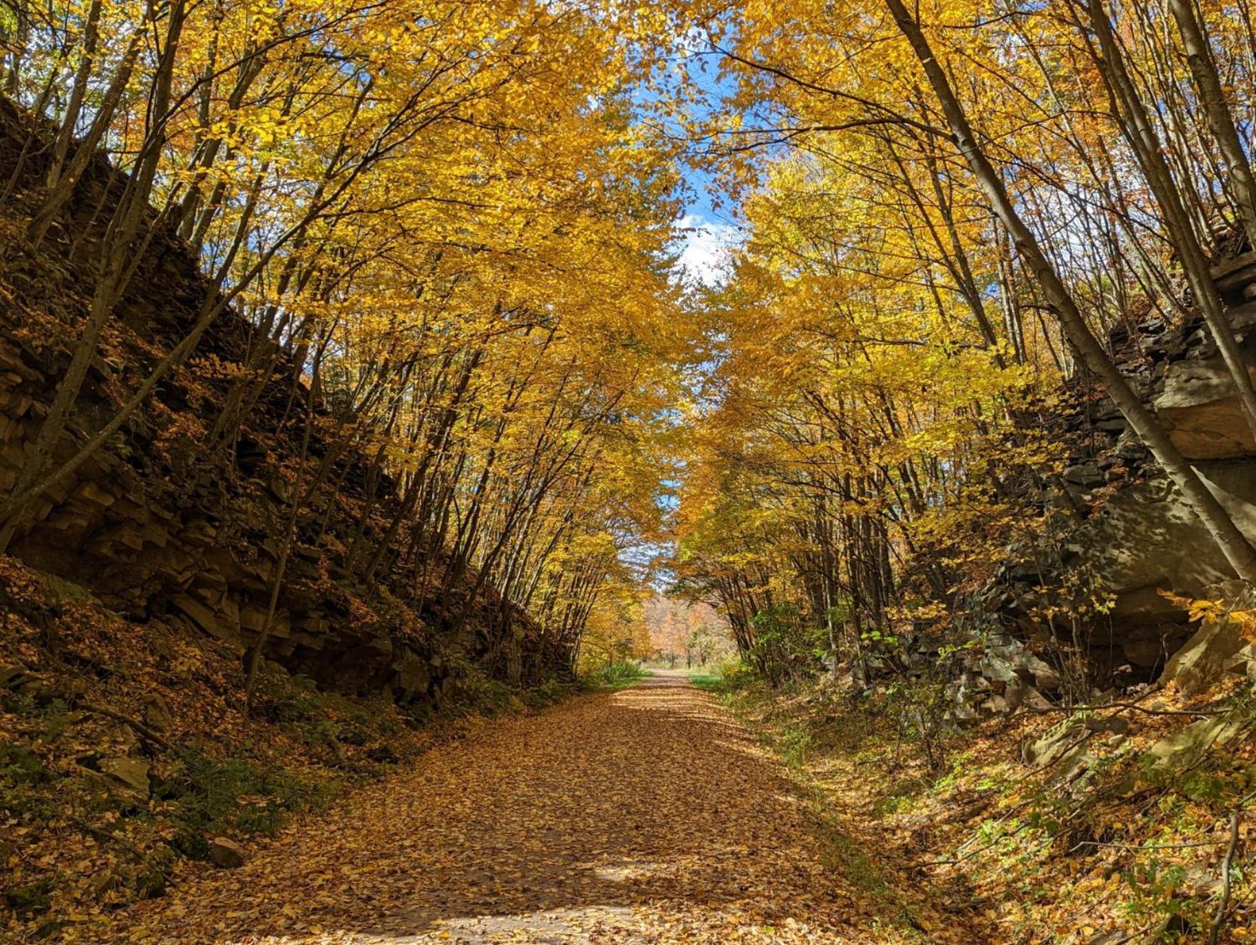 Stay In Ohiopyle Near Gap Trail, Restaurants, & The Fallls Екстериор снимка